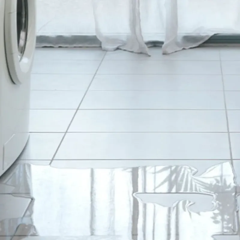 Appliance Leak Cleanup in Kent, WA